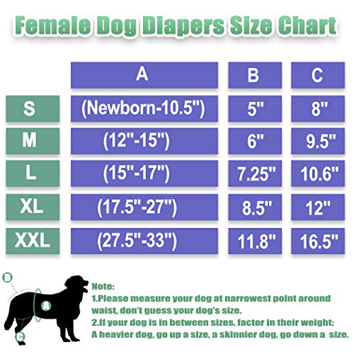 wegreeco Luxury Washable Reusable Dog Diapers (Stylish Pattern) - Female Dog Diapers, Doggie Diapers, 3 Pack (Fancy, Medium) - Thumbnail 7