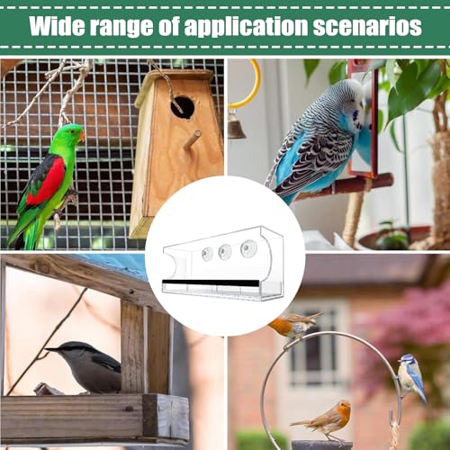 Mangeoire oiseaux à ventouse le cadeau idéal pour nos aînés