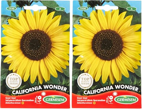 Germisem California Wonder Semillas de Girasol 4 g, EC1530 (Paquete de 2)