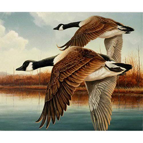 Diamant Peinture Lac Oies broderie 5D pleine mosaïque en résine premium