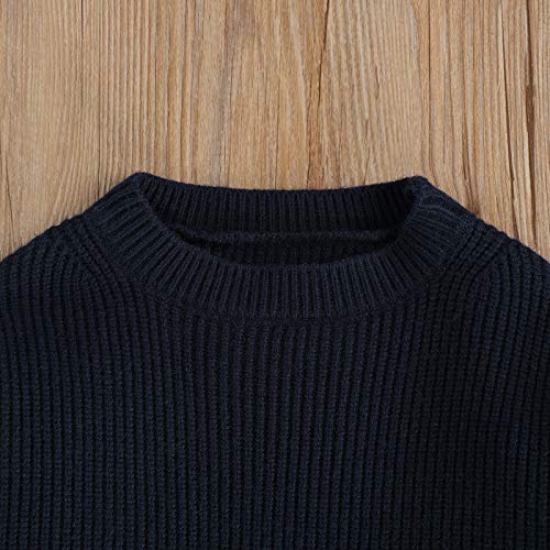Image of Kids Toddler Baby Girl Boy Crewneck Long Sleeve Knit Sweater Casual Pullover Tops Basic Fall Winter Clothes