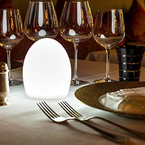 Preisvergleich Produktbild Garten Himmel POINT die AIDA Leuchte