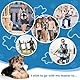 Puppy Sling Pet Dog Carrier Backpack Adjustable Dog Front Carrier, Legs Out Easy-Fit Dog Travel Backpack for Hiking Camping for Small Medium Dogs Cats and Rabbit (Small, 1 Pack)
