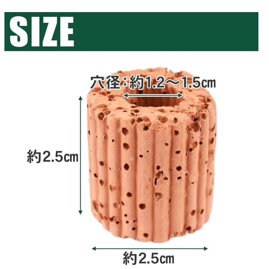 【即購入OK♥】10個セット 水生植物固定リング 水槽オーナメント おもり Amazon.co.jp: エイトショップ 屋 水生植物固定リング 水草固定