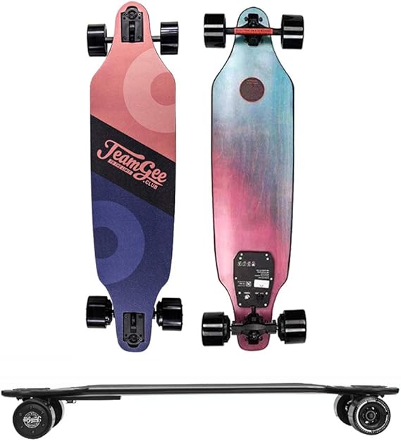Electric Skateboard, 30 Mph Maximum Speed, 480W Dual Motor