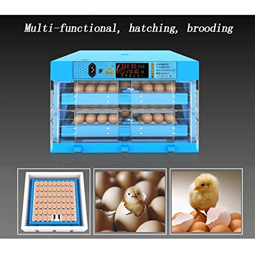 CHICTI Brutmaschine Vollautomatisch Inkubator Vollautomatische Mit LED Temperaturanzeige Und Feuchtigkeitsregulierung… – Bild 5