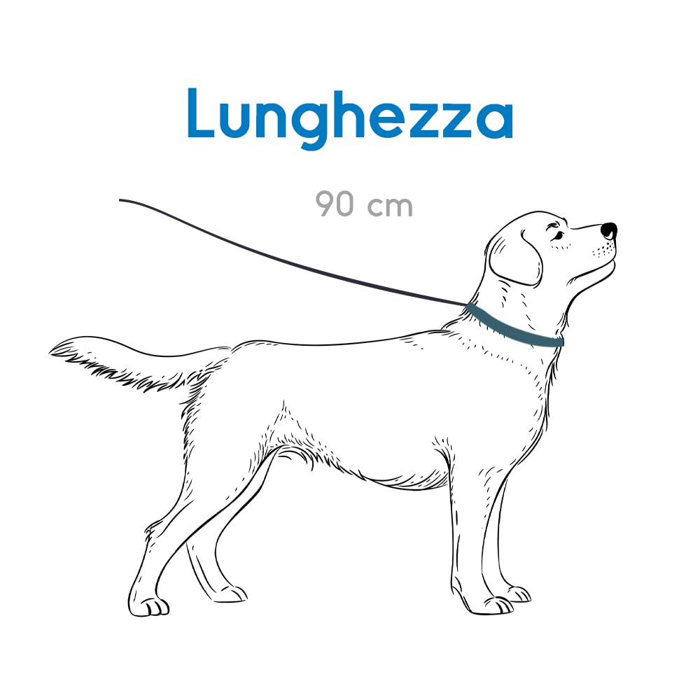 Record, Tubular Dog Leash, Made of Soft and Durable Nylon with Plastic Details, Equipped with Metal Carabiner, Red, Size L - Image 2