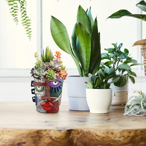 Pot de fleurs en forme de visage unique le cadeau idéal de décoration - 3