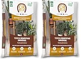 Or Brun Terreau Rempotage Universel - 6L - pour Toutes Les Plantes en Pots - Améliore la Croissance OBRTREM6U (Lot de 2)