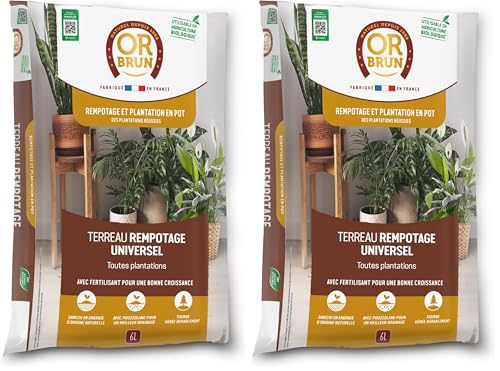 Or Brun Terreau Rempotage Universel - 6L - pour Toutes Les Plantes en Pots - Améliore la Croissance OBRTREM6U (Lot de 2)