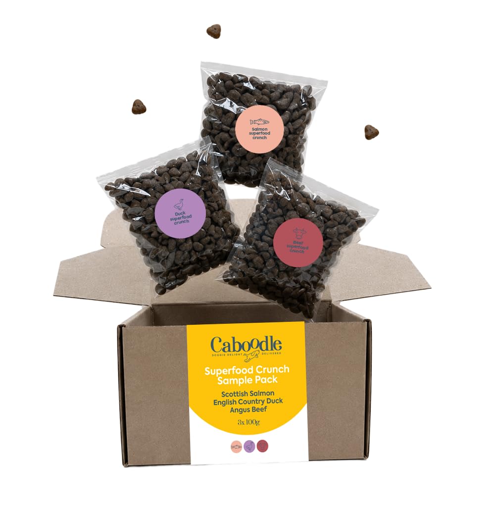 CABOODLE Sample Box of Dog Food, Grain Free Complete Adult Dry Food Sample Box, For Fussy Eaters, Superfood Crunch dry food for adult dogs (300g Sample Box of Dry Dog Food)