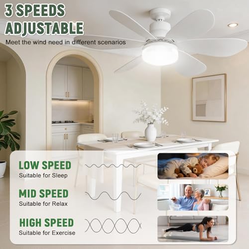 Ventilateur de plafond silencieux à télécommande et plafonnier cristal dimmable - 3