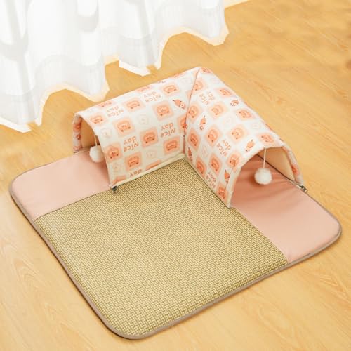  xbh   L xbh ⊴ }bg  ybgxbh􂦂 ~ Ђ ʋC NbV ^ ^ ^ ΍ ybgpi