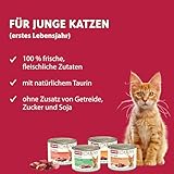 Kitten-Nassfutter Test