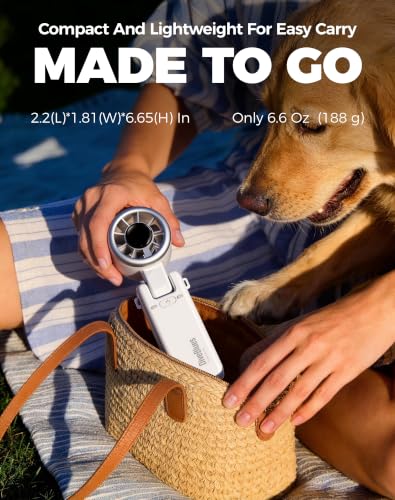 Image of Diveblues Portable Handheld Turbo Fan, 5 Gear Wind, Battery Operated, Up to 12 Working Hours, 3 IN 1 Hand Fan with Air Turbo Tech Cooling Fan for Outdoor Activities, Travel, Working, Silvery white