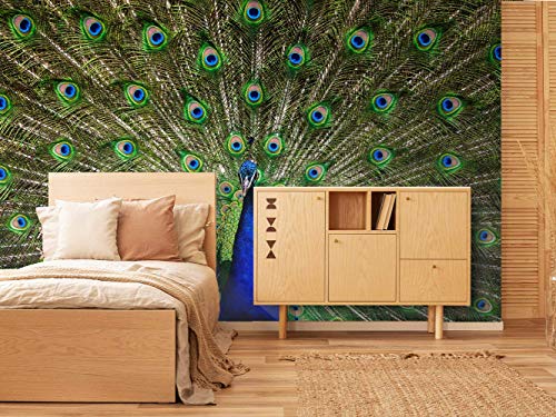 Oedim Papel Pintado para Pared Pavo Real | Fotomural para Paredes | Mural | Papel Pintado |150 x 100 cm | Decoración comedores, Salones, Habitaciones