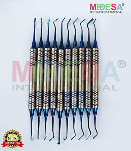 Medesy Dental Composite Filling Instruments Restorative Instruments Set Dental Filling Instrument Titanium Coated With Cassette 10 Pcs #TOP1