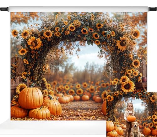 Toile d'arche pour fête d'automne pour réussir toutes vos photos