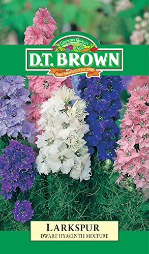 flower seeds larkspur