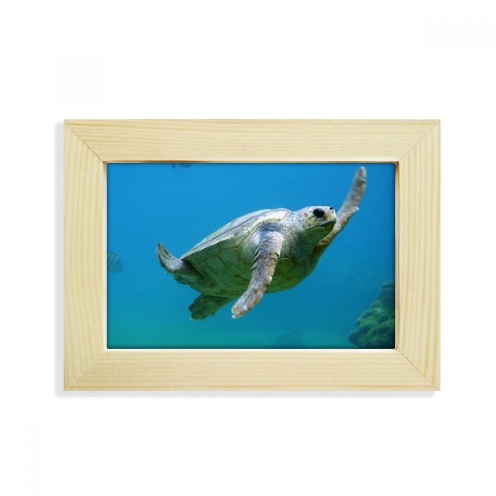 Marco de fotos de madera 5x7 de tortuga océano DIYthinker el regalo ideal para bodas y hogar