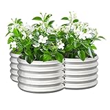 IDEA FAMILY 4x4ft Petal Galvanized Raised Garden Bed Kits 16" Tall Outdoor Large Metal Modular Planter Box 9-in-1 Raised Beds for Gardening,Vegetables,Fruits,Flowers & Herbs (Silver)