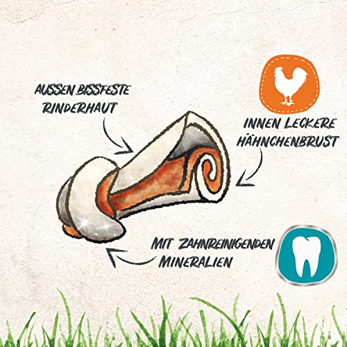 8in1 Pro Dental Knochen S - gesunder Kauknochen für kleine Hunde zur Zahnpflege, 1 Stück