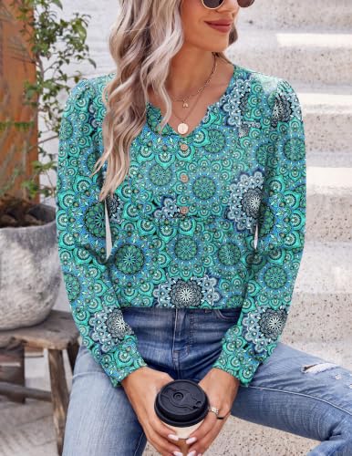 Image of Zeagoo Womens Long Sleeve Tops Fall V Neck Shirt Casual Pleated Tunic Top