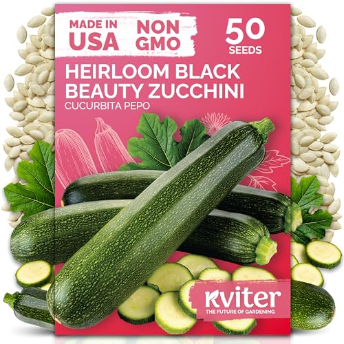 KVITER 50 Black Beauty Zucchini Seeds for Planting (Cucurbita Pepo) – Non-GMO Heirloom Vegetable Seeds, Open Pollinated – Summer Squash for Outdoors Planting in Garden, Raised Mounds, Containers