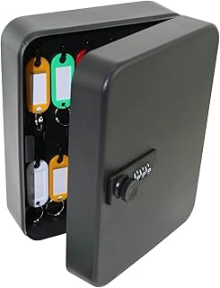 Youyijia Key Cabinet Wall Mounted 20 Cabinet Safe Storage of Keys Steel Security Lock Box with Combination Lock Outdoor Keysafe Cabinet Lockbox for Home Office (Black)