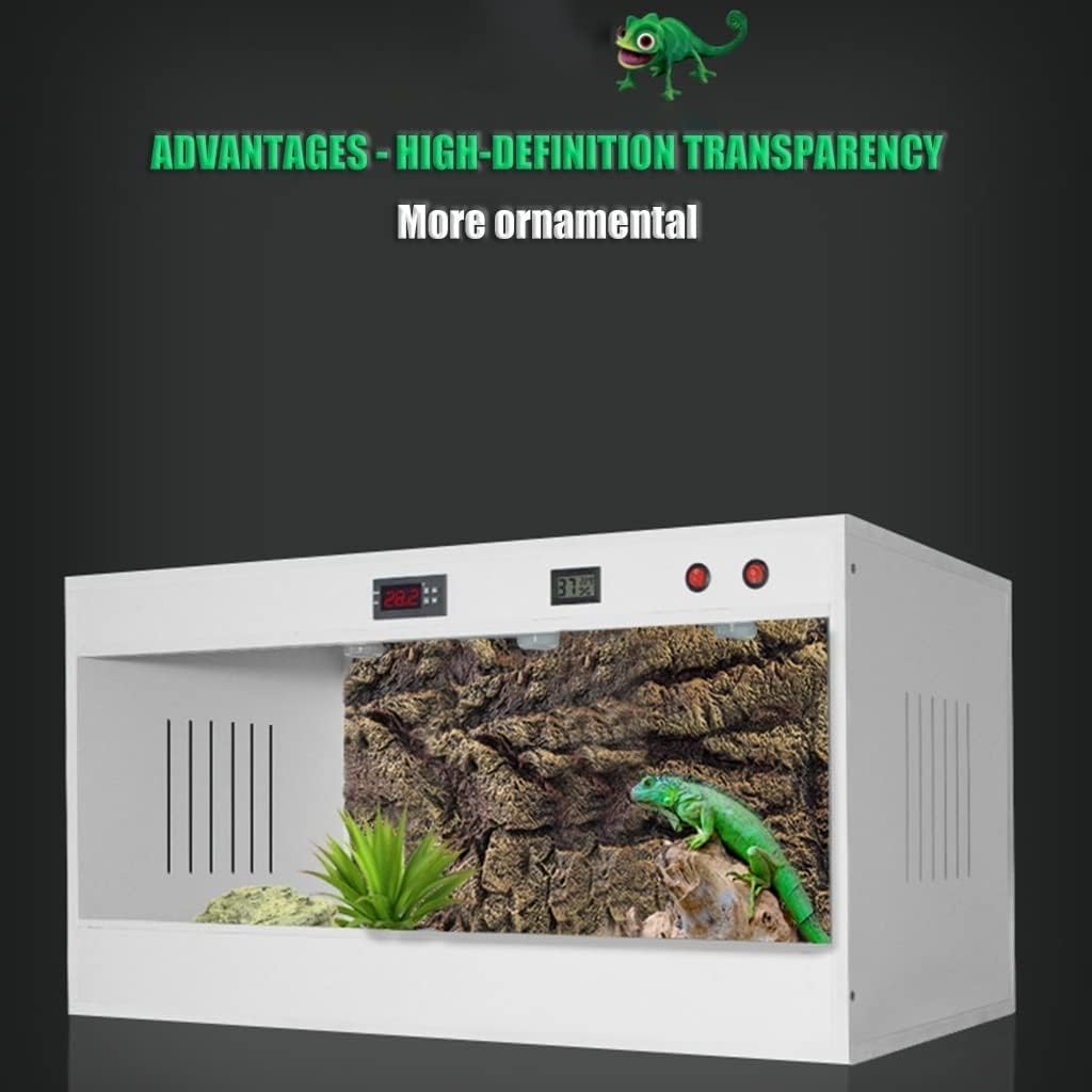 Tanque de hábitat de terrario para reptiles, diseño alto y ancho para dragones barbudos, camaleones y otros reptiles