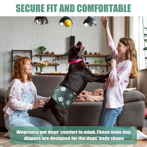 Image of wegreeco Washable Male Dog Belly Band (Stylish Pattern) - Pack of 3 - Dog Diapers Male - Washable Male Dog Belly Wrap (Bones & Footprints, X-Small)