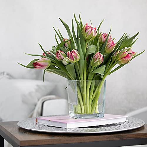 Transparante Glazen Vaas Decoratieve Pot Bloemenbloem Plantenhouder Bos in Glas Mini Tuindecoratie | Vaatwasmachinebestendig | Verzameling Violet | 820 ml - Afbeelding 7