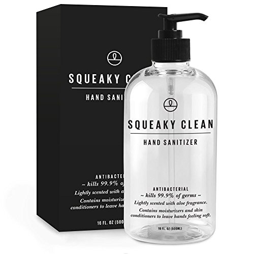 Squeaky Clean Antibacterial Hand Sanitizer With Aloe Vera. This Natural, Gel Comes In A Handy 16 Ounce Pump Dispenser Bottle. #TOP5