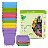 Macetas cuadradas pequeñas decorativas, macetas de colores para la decoración, flores y semillas de interior y exterior y macetas con bandejas - en amarillo, azul, rosa y púrpura (Paquete de 15)