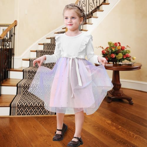 Toddler Girls Dresses Tulle Long Sleeve Ruffle Baby Fall Winter Fashion Casual Toddler Dresses for Girls2