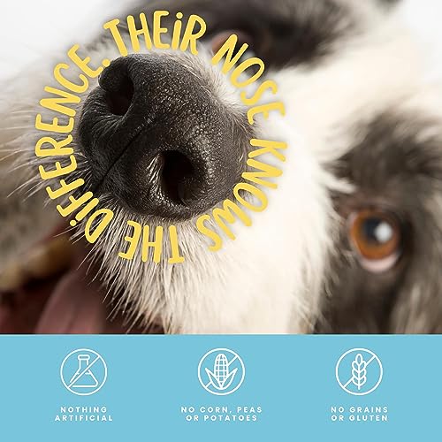 hotspot pets All Natural Rawhide Alternative Chicken Sticks for Dogs (30 Pack) Digestible Dog Chews Treats -Great for Oral Care Snacks (6\'\' Sticks)
