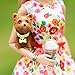 Barbie Look Collector Doll - Park Pretty