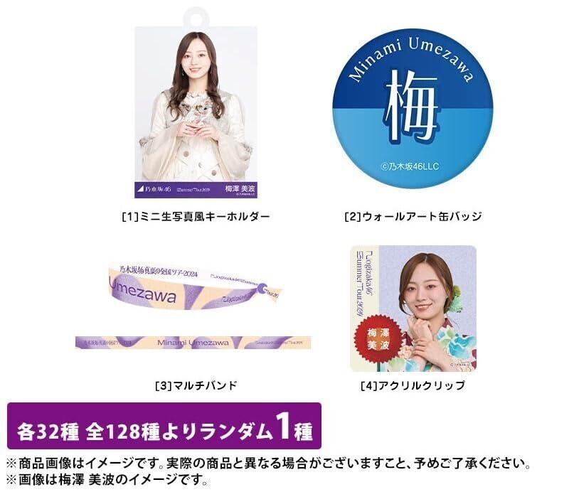 乃木坂46 真夏の全国ツアーミニ生写真キーホルダー2024 ランダム