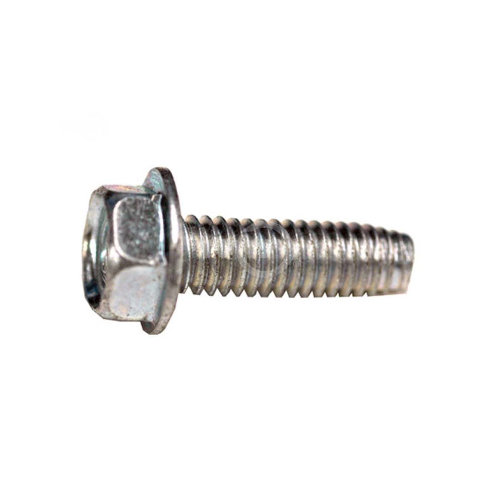 Amazon.com: Rotary Corp Screw Hex Head Self-Tapping 5/16