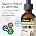 BIO KRAUTER Quinine for Leg Cramps Tincture - Cinchona Bark Extract - Vegan Quinine Liquid - Alcohol & Sugar Free Extract 2 Fl.Oz.