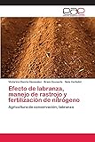labranza de dios biblia  Efecto de labranza, manejo de rastrojo y fertilización de nitrógeno: Agricultura de conservación, labranza