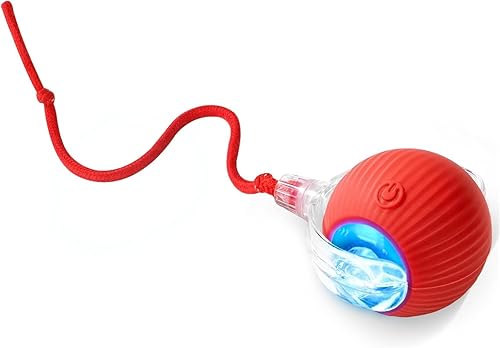 Juguete de bola de gato en movimiento ágil con cuerda (rojo)
