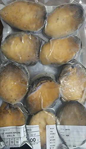 殻付 あわび ( 刺身用 ) 1kg ( 約10粒 ) チリ産 業務用 鮑 冷凍