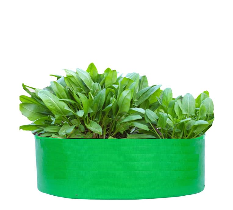 GROW2PLANT 24" x 6" (Pack of 2) Grow Bag for Terrace Gardening, Premium Plus HDPE 260 GSM Green/Orange Plant Bags (B0DF31NKHD) Amazon Price History, Amazon Price Tracker