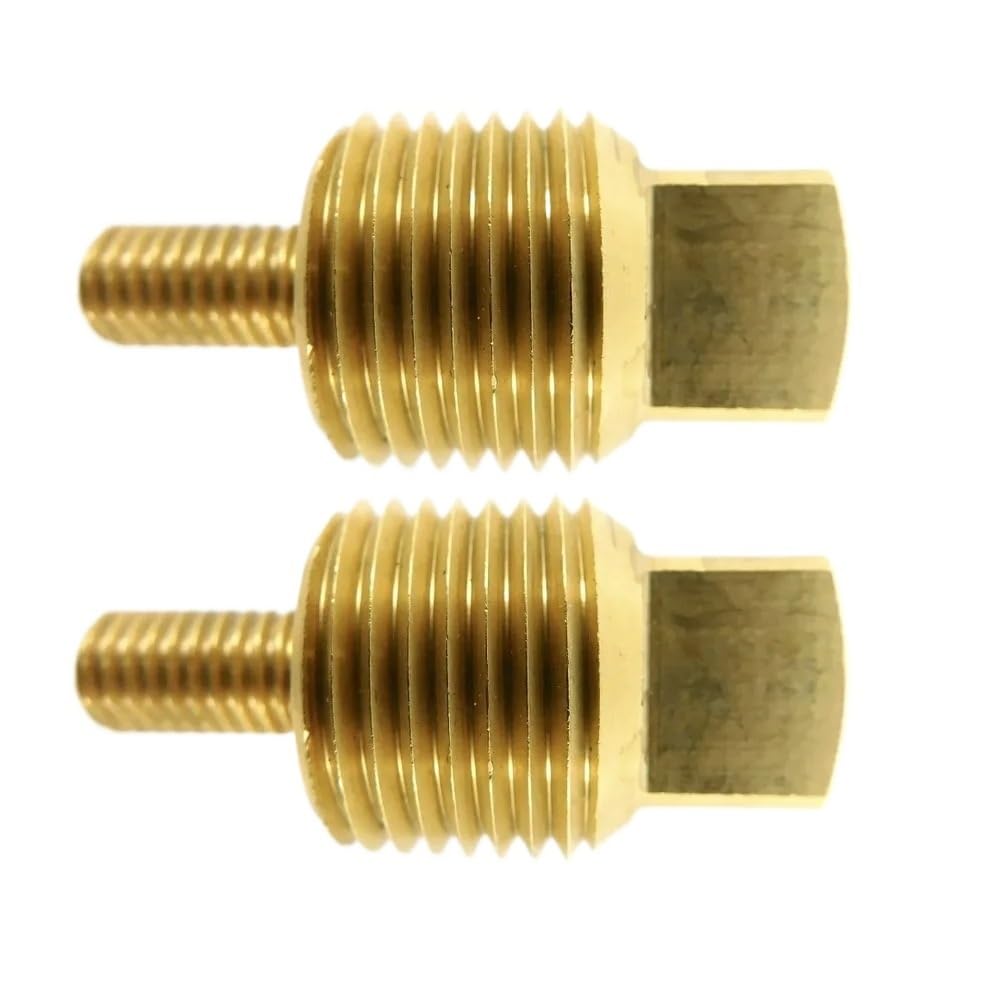 2 Pezzi di Spina OEM Originale for anodo di Zinco 838928 3838500 861546 00714TPM 18-6021