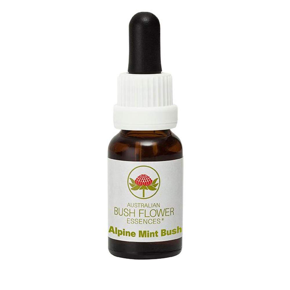 Fleurs De Vie Fleur De Bush Alpine Mint Bush 15Ml-image