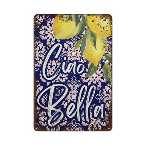 ViTmit Vintage Metal Decor Plaque Sign Cover