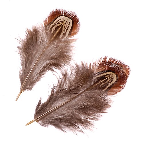 Vere Piume di fagiano/piume naturale (1,5 G/3 - 9...