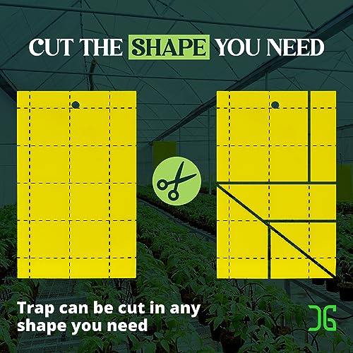 Catchmaster GRO Yellow Regular Double Sided Sticky Traps 72PK, Adhesive Bug & Fruit Fly Trap, Pest Control for Home, Farm, Garden, Hydroponics & Greenhouse, Protect Live Plants Indoor & Outdoor - Thumbnail 5