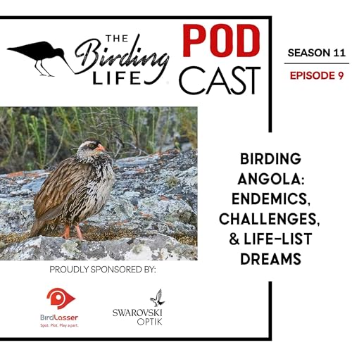 Page de couverture de TBL Podcast Season 11 Episode 9 - Birding Angola: Endemics, Challenges, and Life-List Dreams